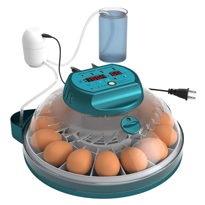 15-egg automatic incubator with humidity & temperature control for chicken & bird egg hatching.