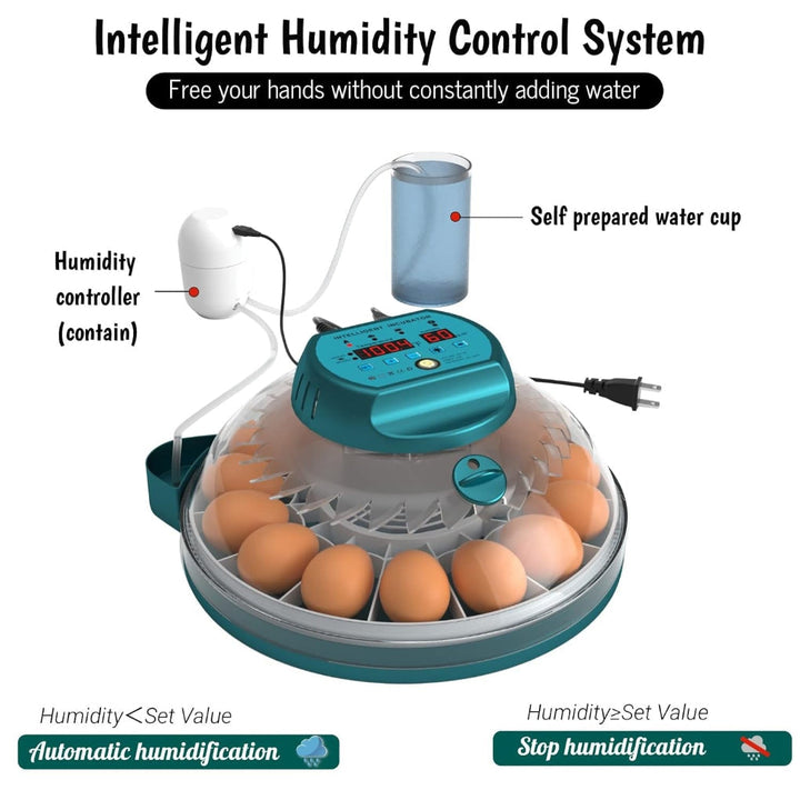 Beginner-friendly 15-egg automatic poultry incubator for home hatching with precise humidity control.