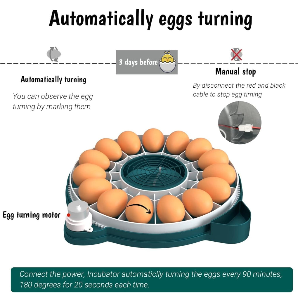 Small 15-egg automatic egg incubator, ideal for home use, featuring digital humidity & temp control.