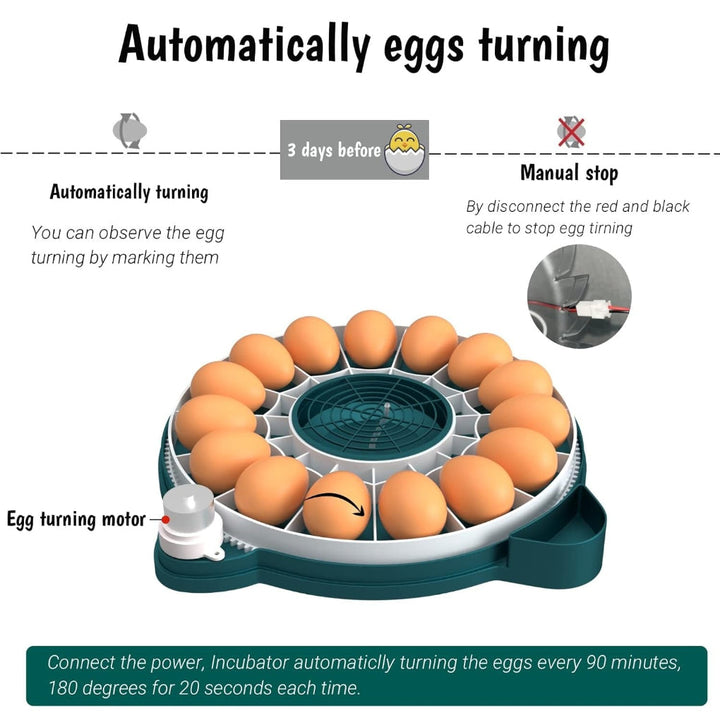 Small 15-egg automatic egg incubator, ideal for home use, featuring digital humidity & temp control.