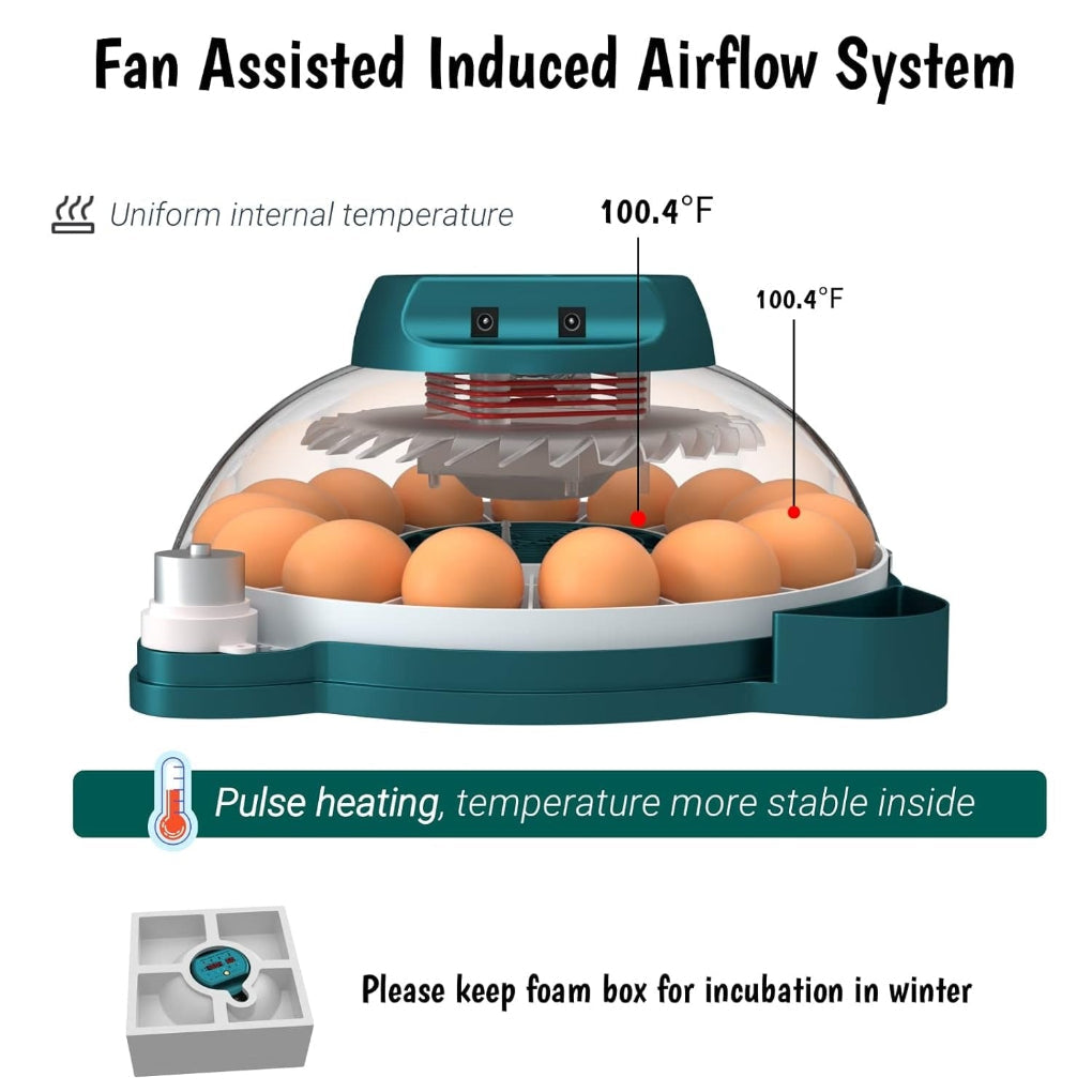 Efficient 15-egg automatic chicken incubator ensures successful hatching with integrated humidity control.