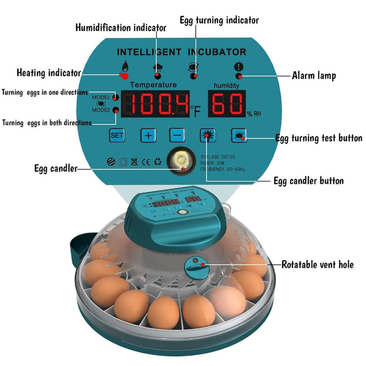 Compact 15-egg automatic egg incubator, great for bird eggs, with easy-to-use humidity functions.