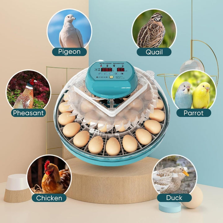 Modern 15-egg automatic farm equipment: poultry incubator with advanced humidity and temp settings.