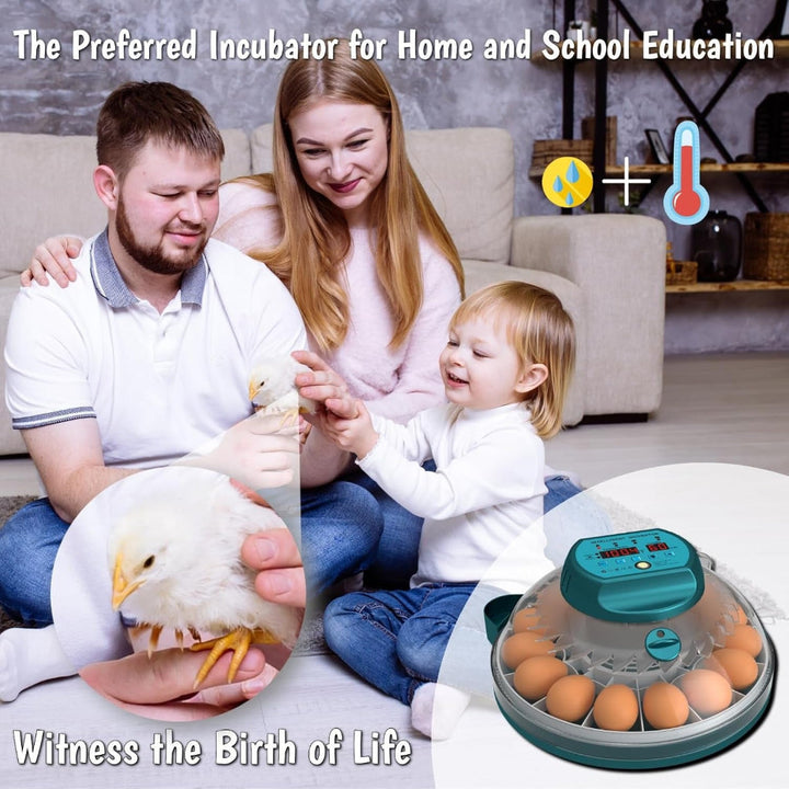 Automatic 15-egg home hatching incubator with built-in humidity control for healthy chick development.