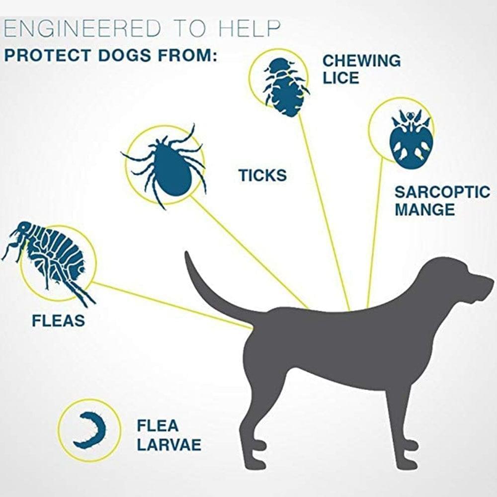 Keep pets healthy with this adjustable 8-month waterproof flea & tick collar for dogs & cats. Pest control.