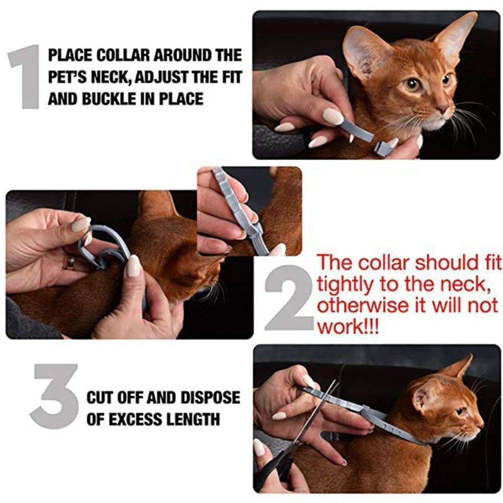 Premium 8-month flea & tick collar for dogs & cats. Waterproof & adjustable for continuous pet health protection.