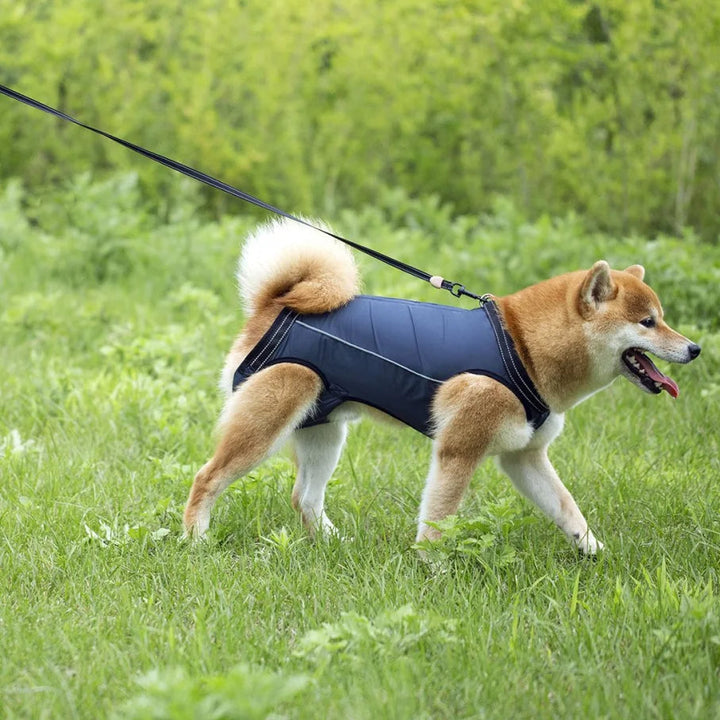 Pet owner assisting a dog with joint pain using an adjustable dog lift harness for safe support and walking.