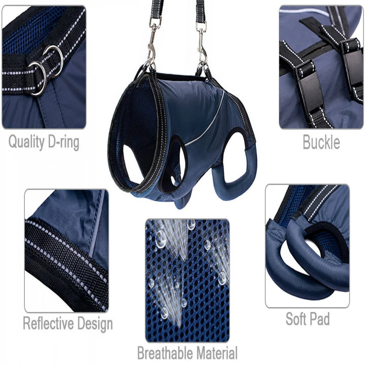 Dog lift harness enhances quality of life for senior pets, offering safe support for daily activities & walks.