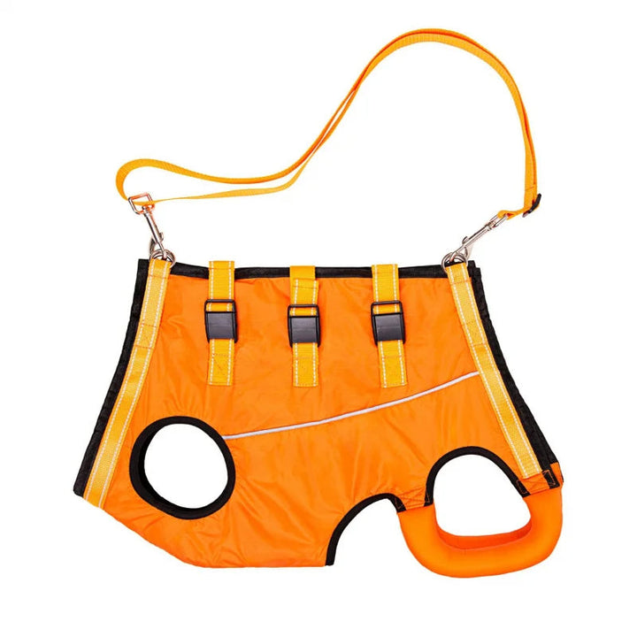 Injured dog using a recovery lift harness for safe walking & rehabilitation. Essential pet support.