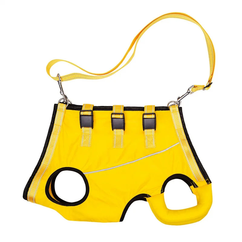 Owner assisting a senior pet with a comfortable dog lift harness, making daily walks easier. Pet care.