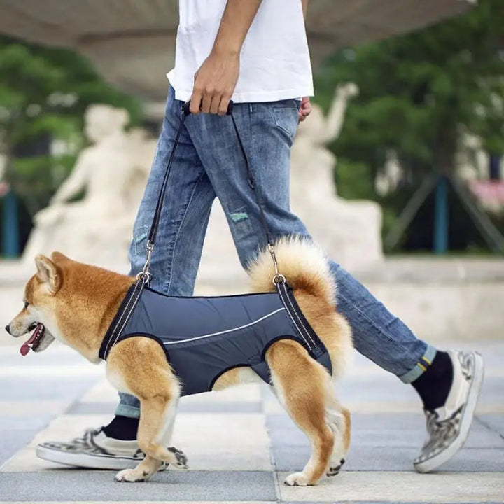 Front support dog lift harness for pets with front leg weakness, offering essential mobility aid & chest support.