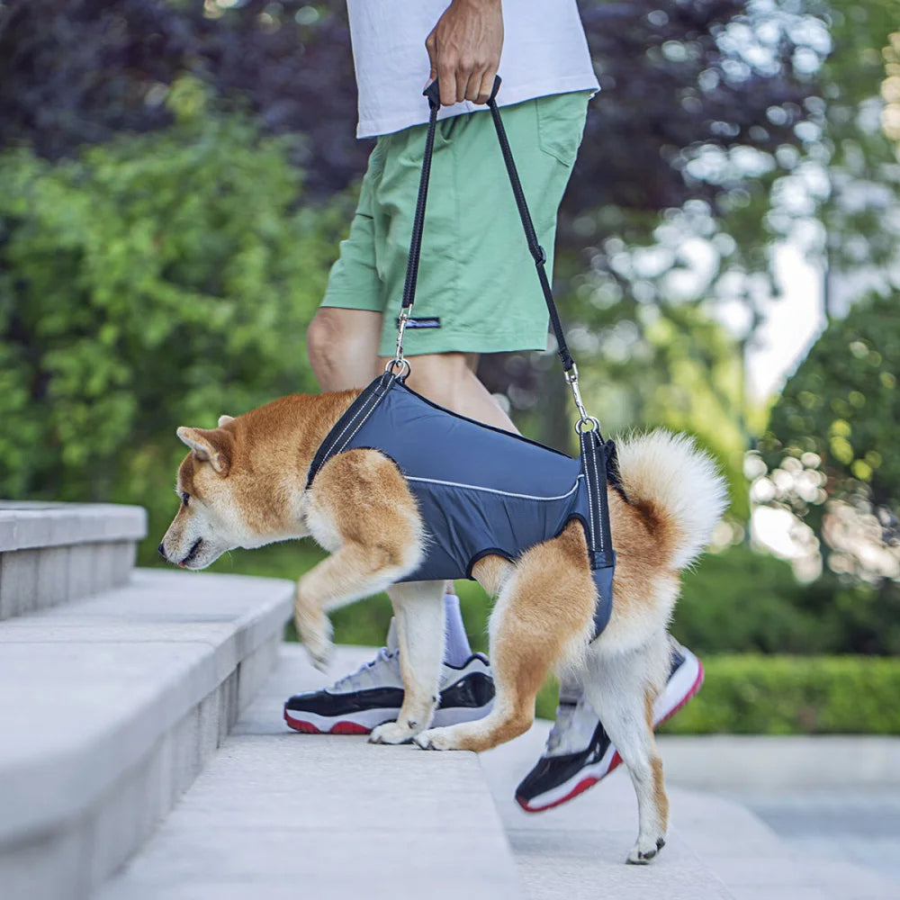 Rear support dog lift harness for hind leg weakness & hip pain in senior dogs. Pet mobility aid.