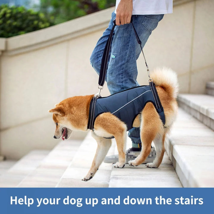 Soft, durable fabric dog lift harness provides comfortable support for senior & injured pets during recovery.