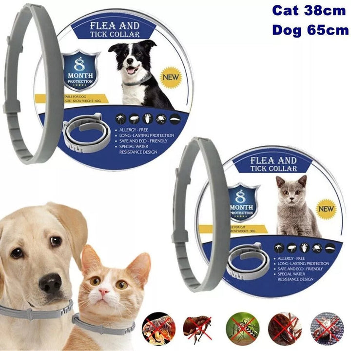 Natural flea and tick collar for dogs, adjustable and waterproof, offers effective pet protection.