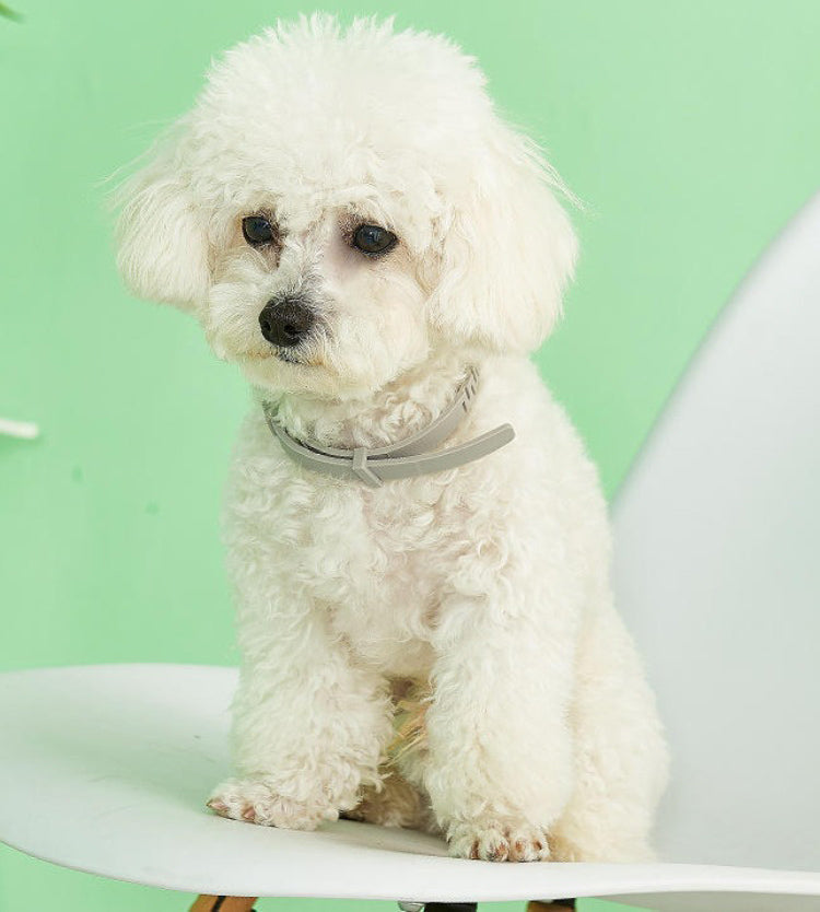 Waterproof cat collar, adjustable flea and tick protection, keeps your feline safe from pests.