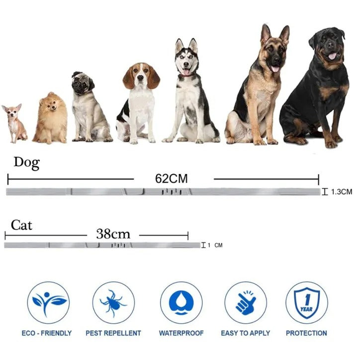 Long-lasting adjustable dog flea collar repels ticks and fleas, waterproof for active pets.
