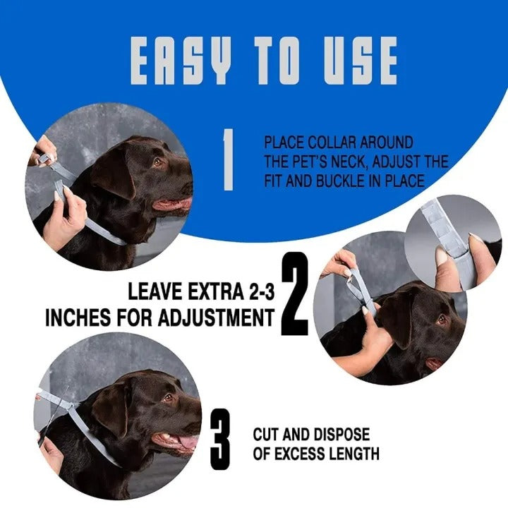 Effective waterproof flea collar for dogs, adjustable design ensures comfort and pest control.
