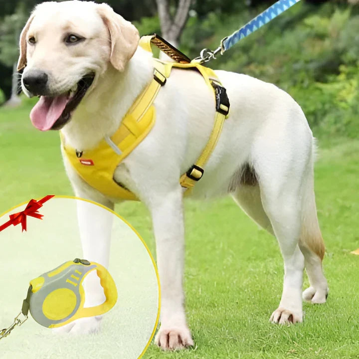 Anti-pull dog harness, adjustable for comfortable walks & enhanced control. Ideal training gear for pets.