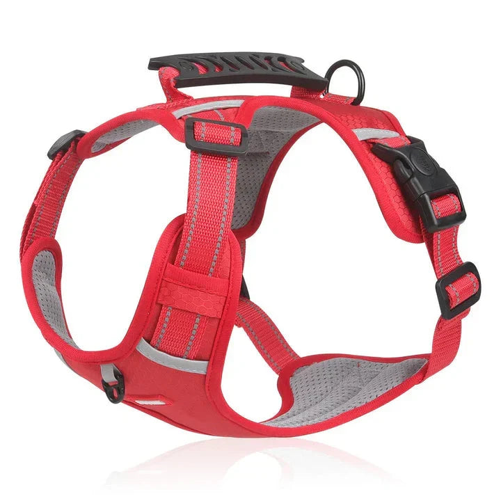 Ergonomic anti-pull dog harness, adjustable for comfortable control during walks & training sessions.
