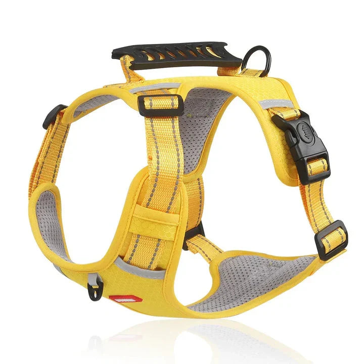 Comfortable anti-pull dog harness for stress-free walks. Adjustable design offers enhanced control & safety.