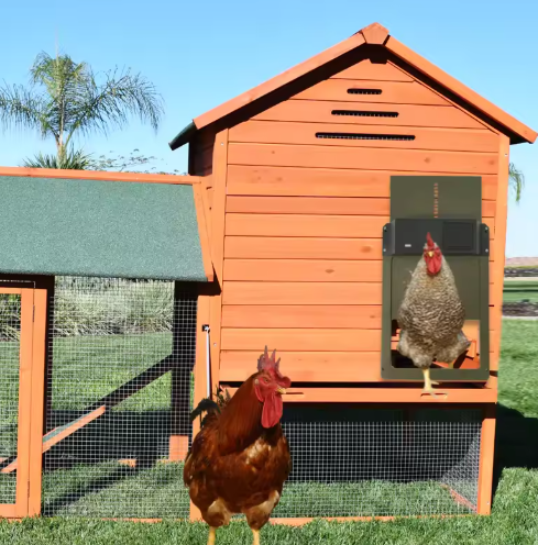 Automatic chicken coop door system with solar panel, ensuring animal safety and convenient poultry care.