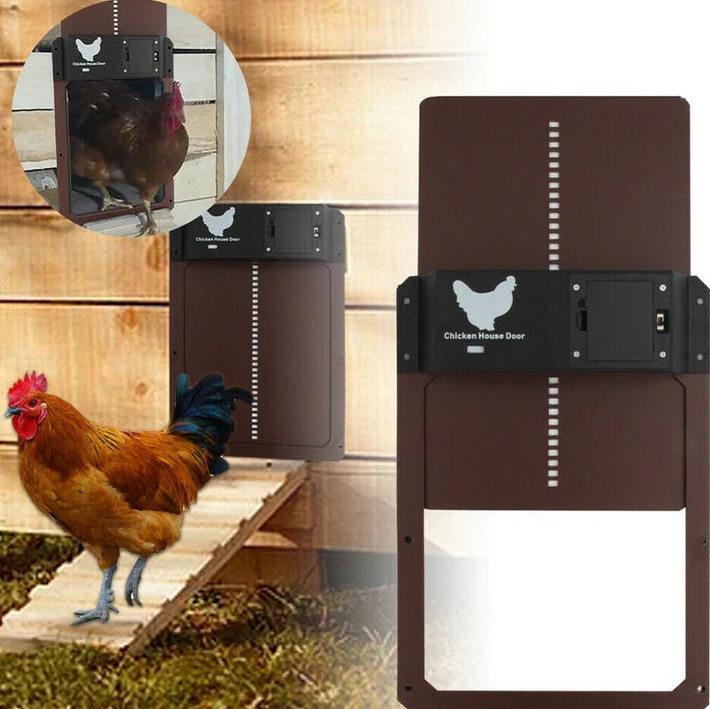 Complete automatic chicken coop door system for outdoor living, powered by solar and battery for farm animals.