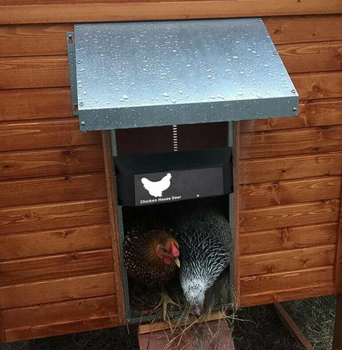 Secure automatic chicken coop door powered by solar and battery, providing enhanced animal safety for poultry.