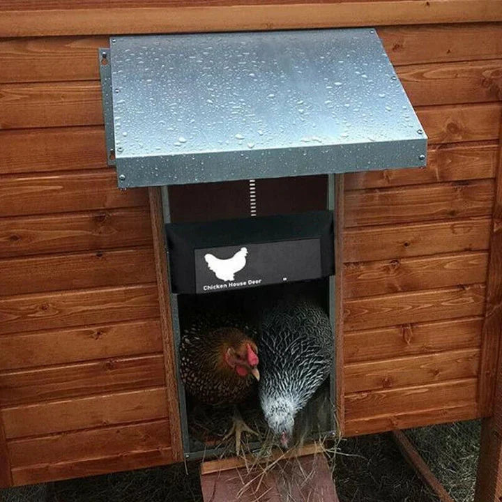 Easy-to-install automatic chicken coop door, essential for chicken security and reliable poultry protection.