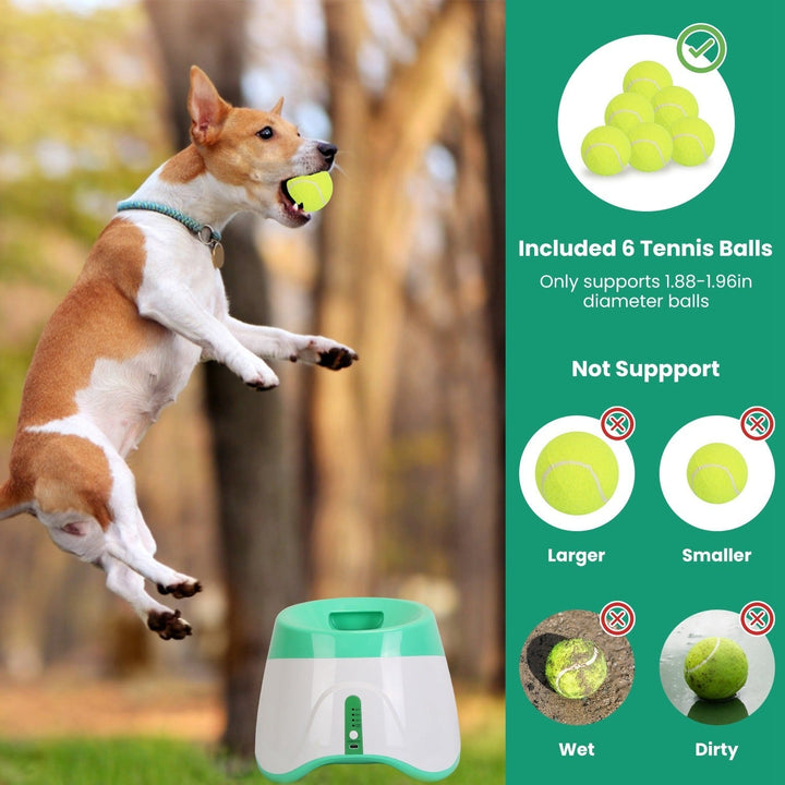 Hands-free automatic dog ball launcher for small & medium dogs. Enjoy interactive fetch with this pet toy.