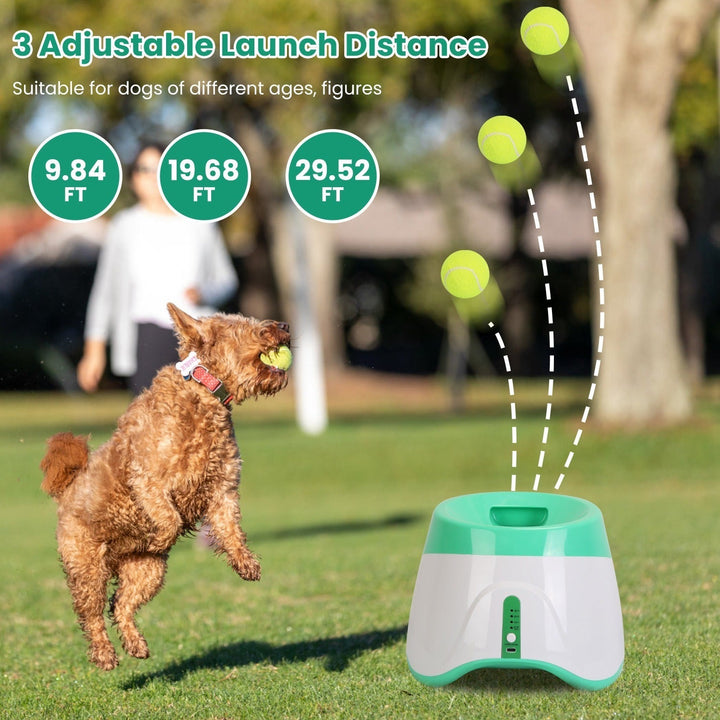 Modern automatic fetch toy for dogs. Rechargeable ball launcher, perfect for small & medium dog play.
