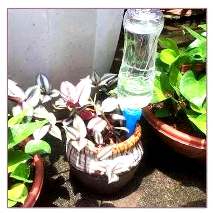 Eco-friendly self-watering spikes (12-pack) for vacation plant care. Drip irrigation system for healthy garden plants.
