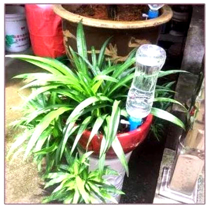 Automatic plant irrigation system (12 spikes) for potted plants. Adjustable flow ensures perfect watering, even on vacation.