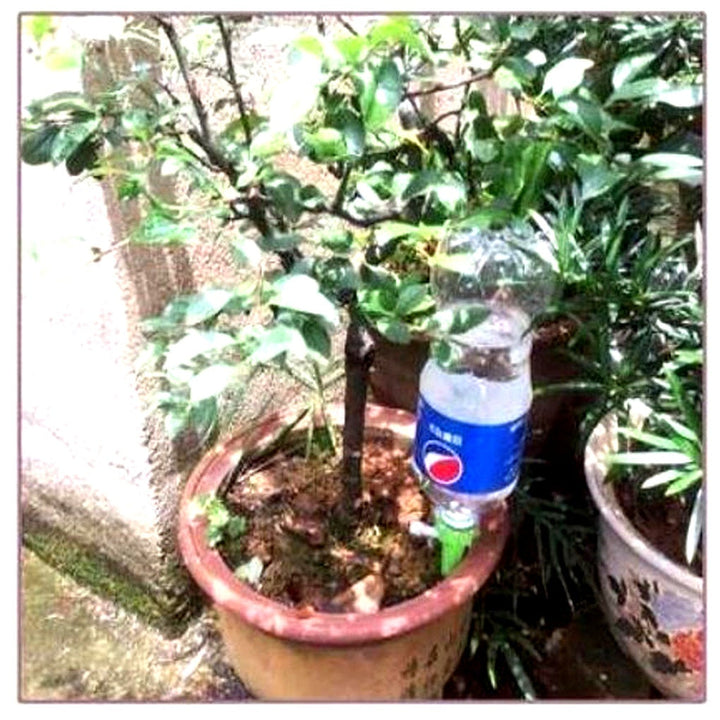 Garden aid: 12 automatic watering spikes for effortless plant care. Adjustable drip system for consistent moisture.