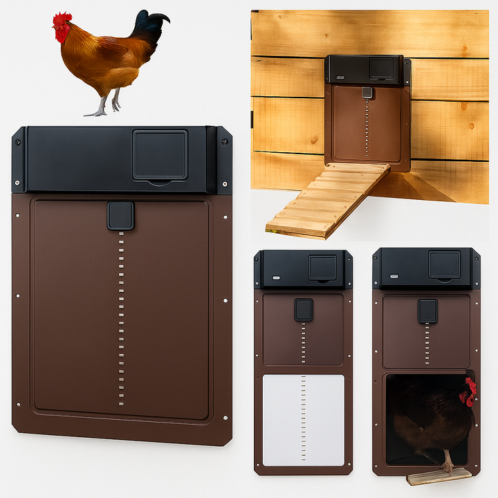 Automatic weatherproof chicken coop door with light sensor for poultry farm security and convenience.