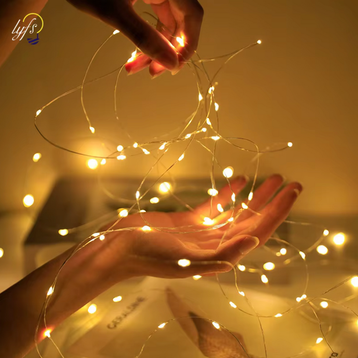 Decorative battery LED string lights with warm white glow, great for indoor home accents and festive occasions.