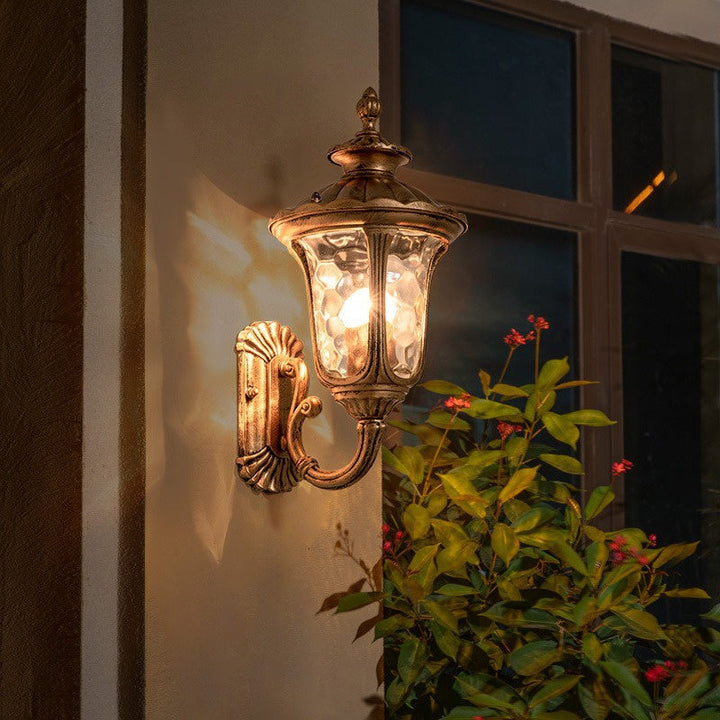 Waterproof outdoor wall sconce, bronze & black, with a clear glass protective cover.