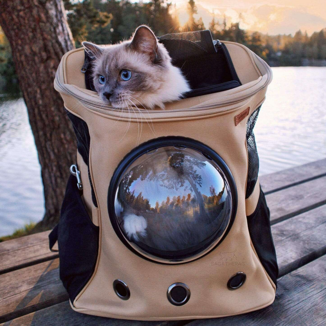 Cat carrier backpack with panoramic bubble window, perfect for travel & outdoor adventures.