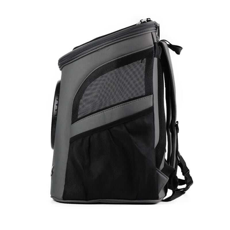 Stylish pet travel backpack with a transparent bubble window, essential cat supplies for adventure.