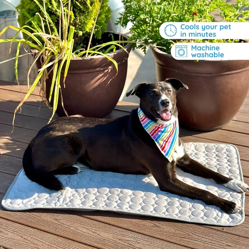 Comforting pet cooling mat for dogs, providing instant heat relief and comfort. Ideal for summer pet supplies.