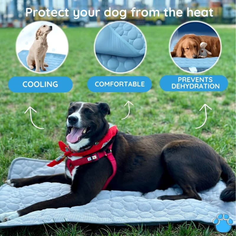 Self-cooling gel mat for dogs, designed to keep pets comfortable and prevent overheating in warm weather.