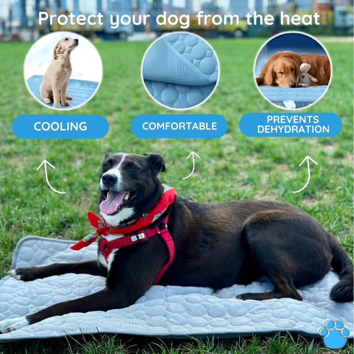 Self-cooling gel mat for dogs, designed to keep pets comfortable and prevent overheating in warm weather.