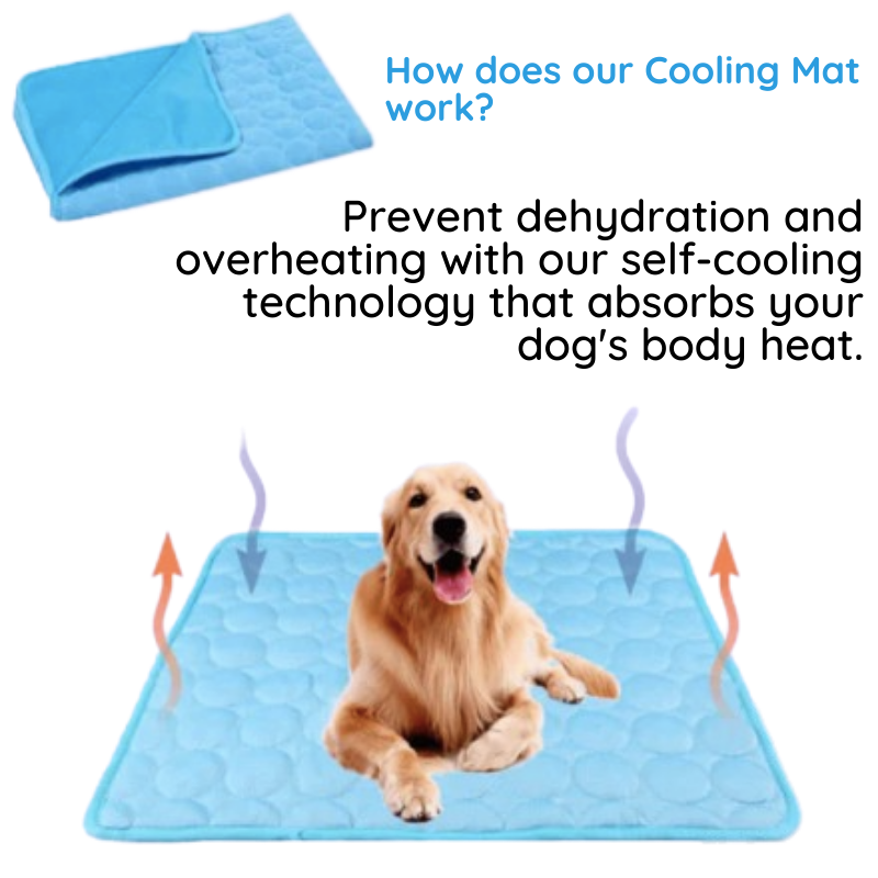 Portable cooling mat for dogs, lightweight & easy to fold, perfect for travel or use as a summer dog bed.