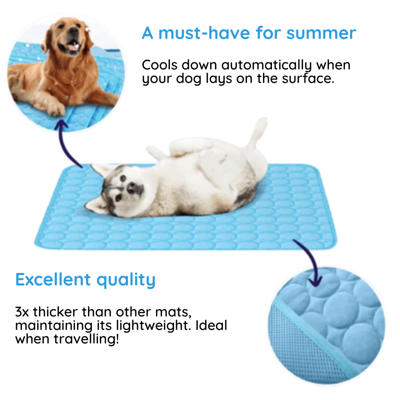 Washable & safe cooling mat for dogs. Durable pet comfort pad for all breeds, ensuring pet heat relief.