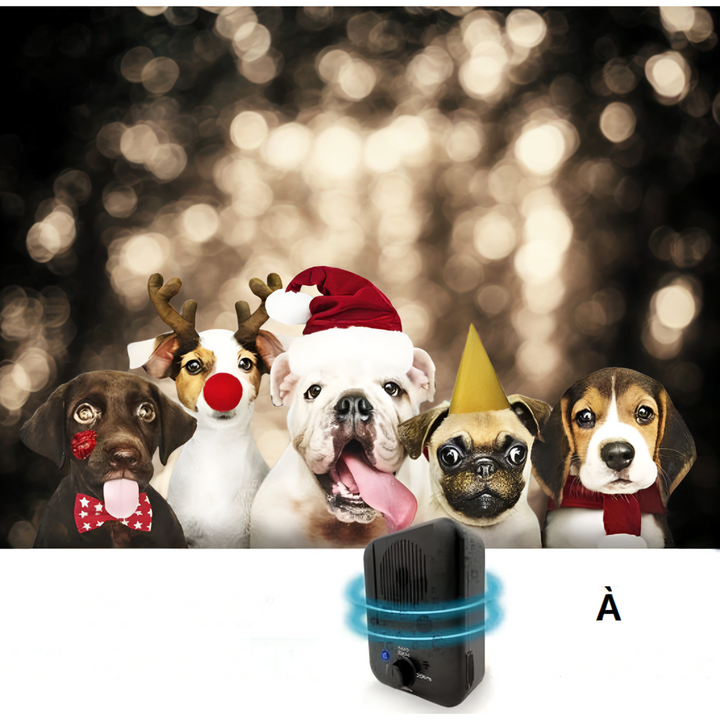Modern ultrasonic anti-barking deterrent helps train dogs for peaceful behavior in any home environment.
