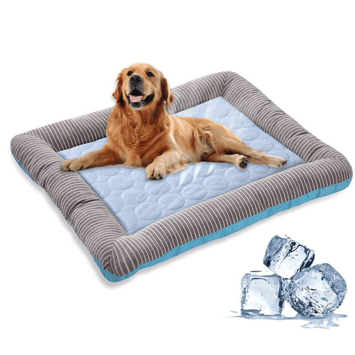 Cooling dog bed cushion for summer comfort. Machine washable pet mat.