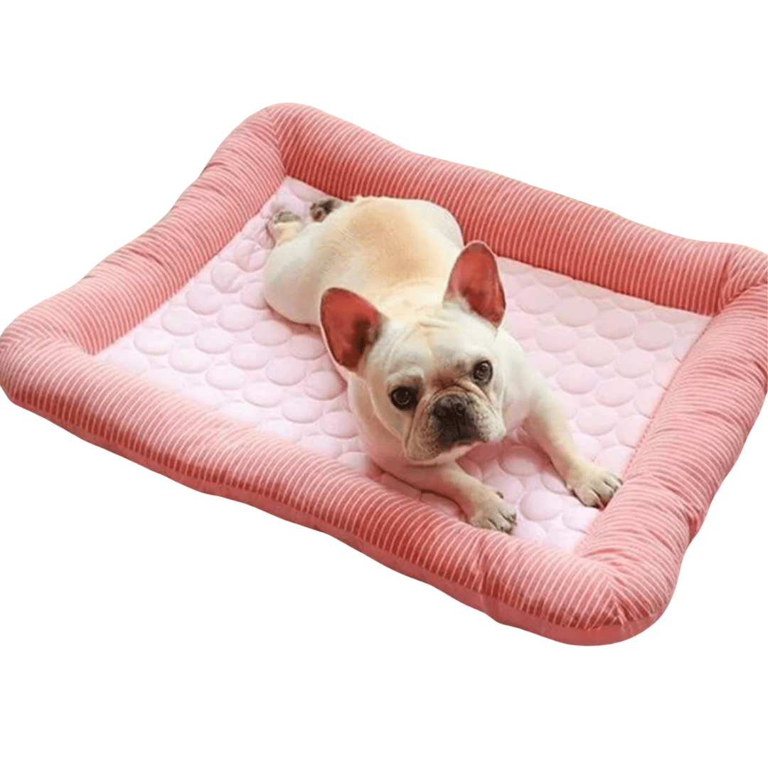 Medium cooling dog bed cushion, machine washable for summer pet comfort. Non-slip design.