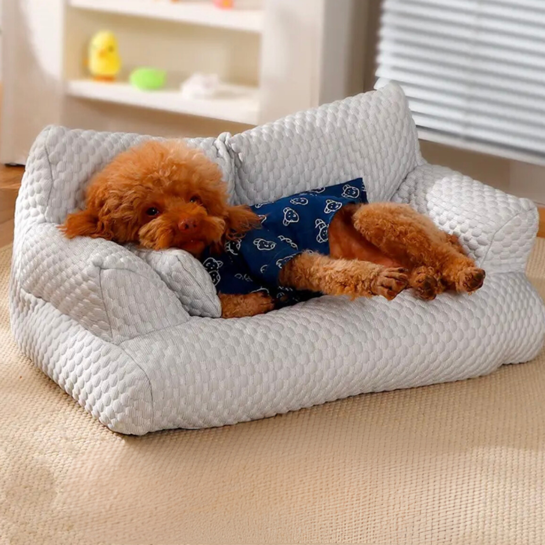 Breathable cooling dog couch with orthopedic foam, offering joint support & comfort for pets on hot days.