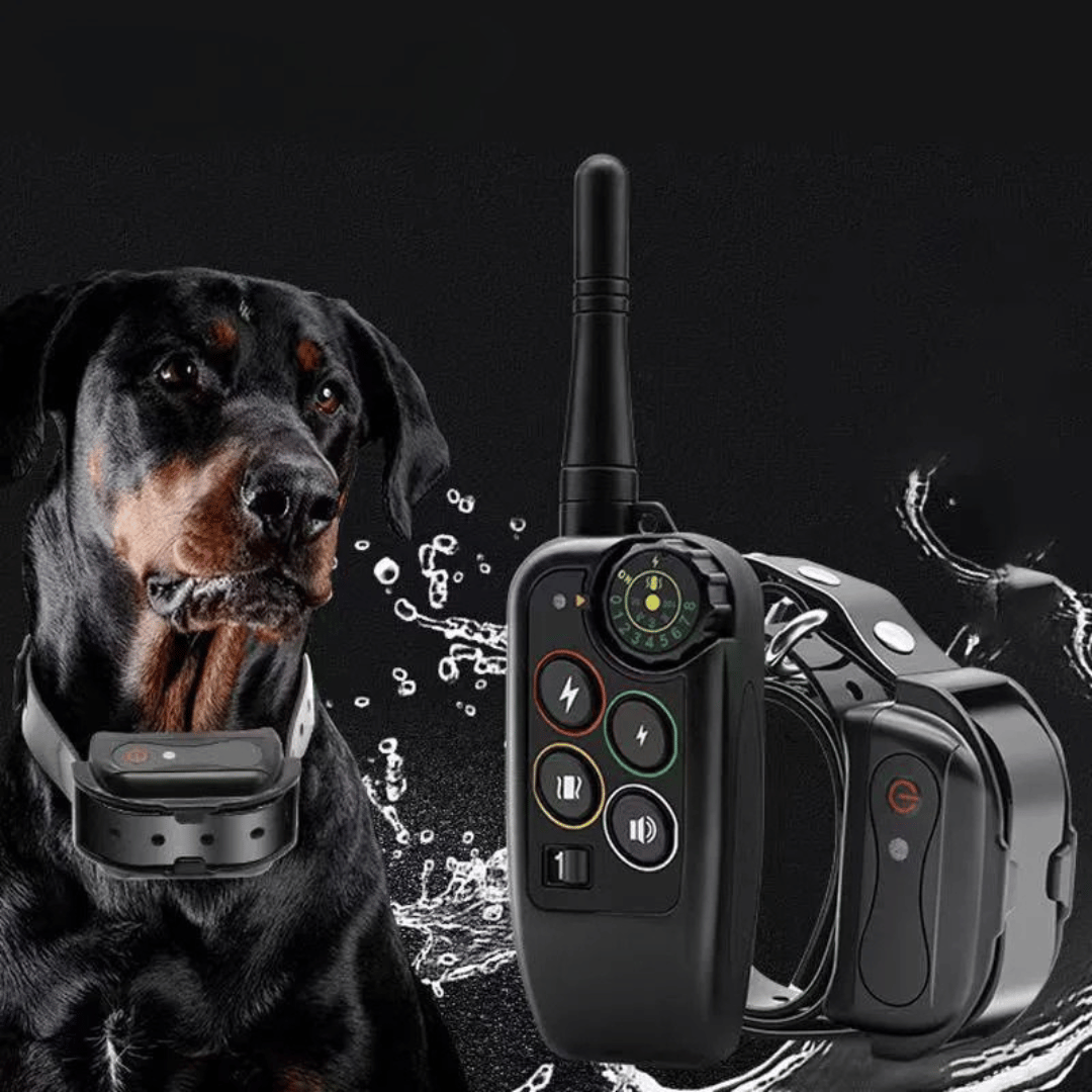 Waterproof remote dog training e-collar for all-weather obedience and pet behavior modification.