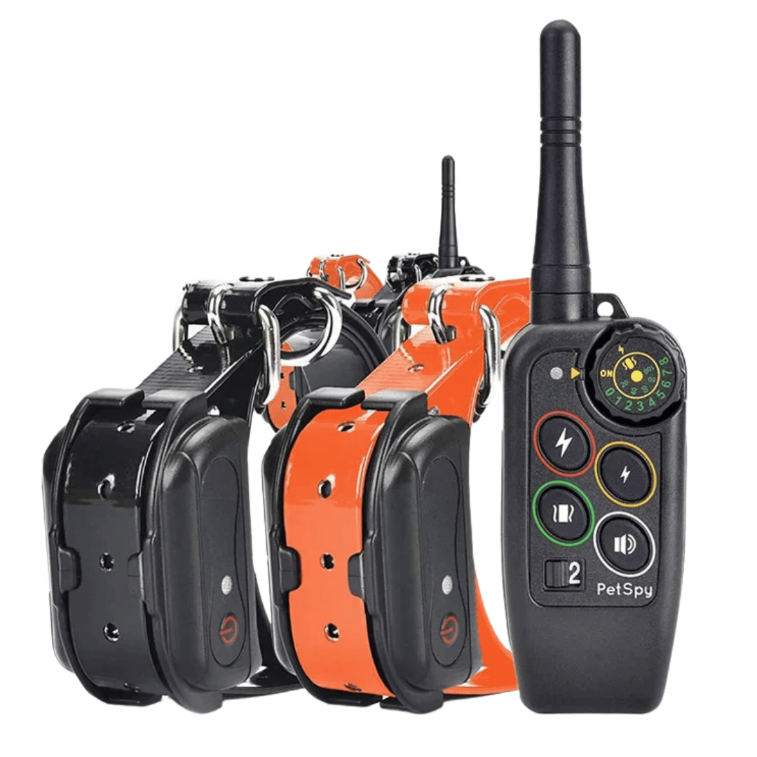 Dog training e-collar with user-friendly remote control for long-range 1000m behavior correction.