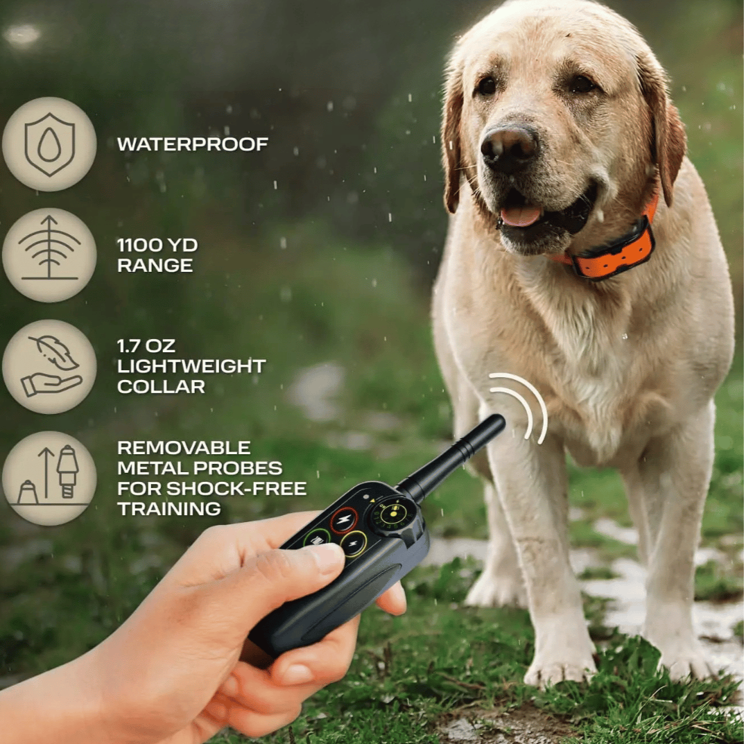 Enhance dog obedience with this waterproof long-range 1000m remote training e-collar. Pet behavior tool.